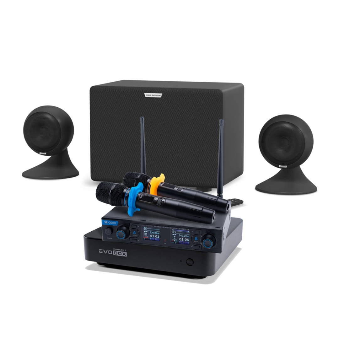 караоке-комплект EVOBOX + EvoSound Sphere 2.1 в Егорьевске