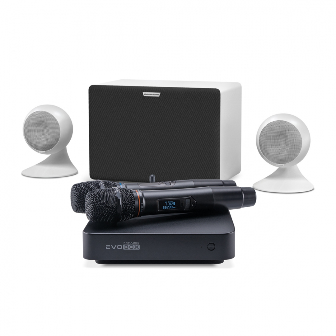 караоке-комплект EVOBOX Classic + EvoSound Sphere 2.1 в Егорьевске