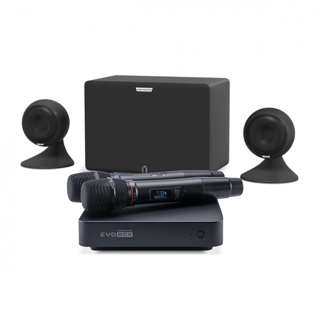 караоке-комплект EVOBOX Plus + EvoSound Sphere 2.1 в Егорьевске