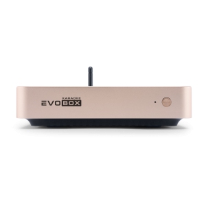 EVOBOX Classic караоке-система для дома в Егорьевске