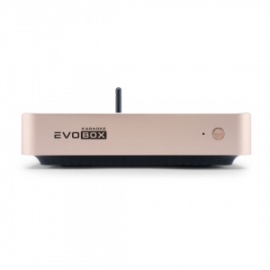 EVOBOX Plus караоке-система для дома в Егорьевске