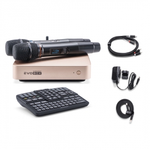 EVOBOX Plus караоке-система для дома в Егорьевске