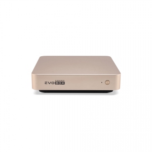 EVOBOX с микрофонами в Егорьевске