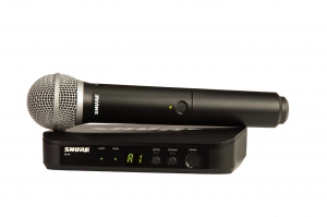 SHURE BLX24E/PG58 M17 вокальная радиосистема в Егорьевске